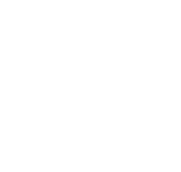 Trustworthiness core value icon