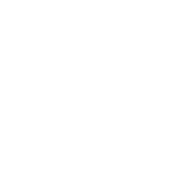 Confidentiality core value icon