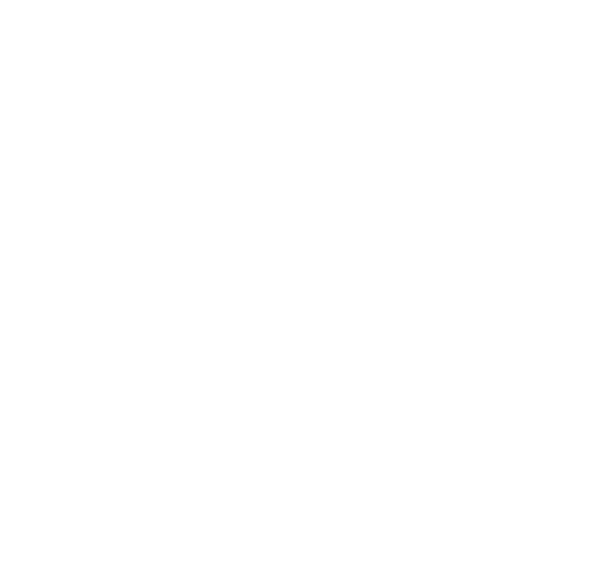 Adaptability core value icon